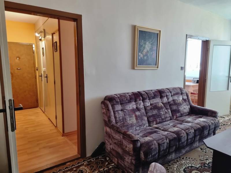 Living room with a sofa and a painting in a 2-room apartment.
