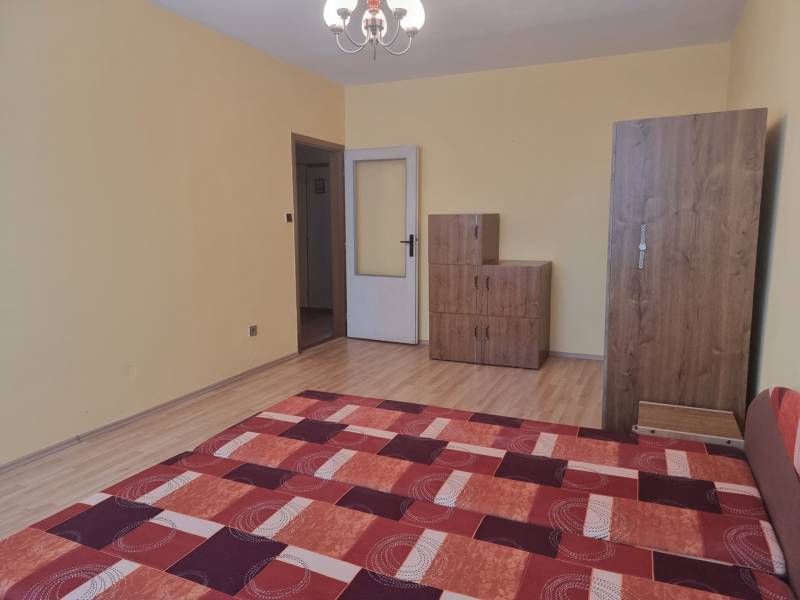 A room in a 2-room apartment with a wooden floor, a cabinet, and a red carpet.