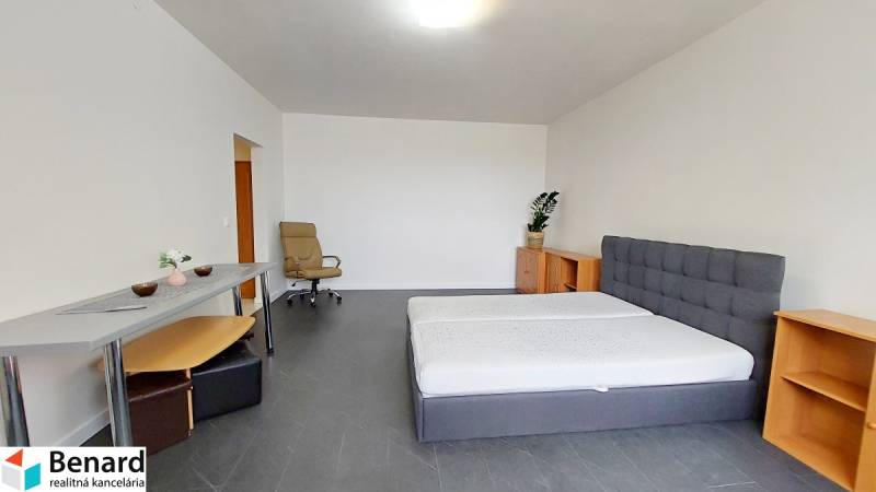 A one-bedroom apartment with a bed, table, office chair, and a dresser with a plant.