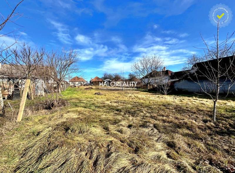 Plots - housing in Veľké Ludince with trees and grass, ideal for construction.