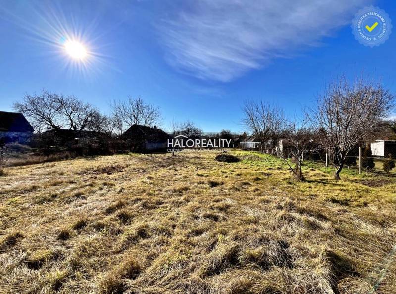 Plots - housing in Veľké Ludince with grassy area, trees, and clear sky.
