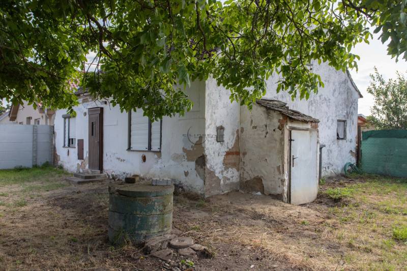 A house on Športová Street in Gajary, intended for living, surrounded by trees and lawn.