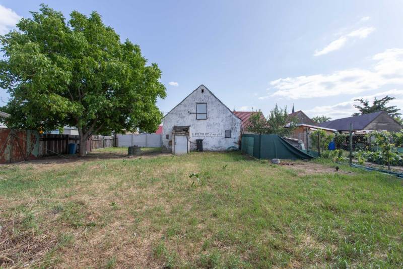 Lands - housing on Športová Street in the village of Gajary with a house and a large tree.