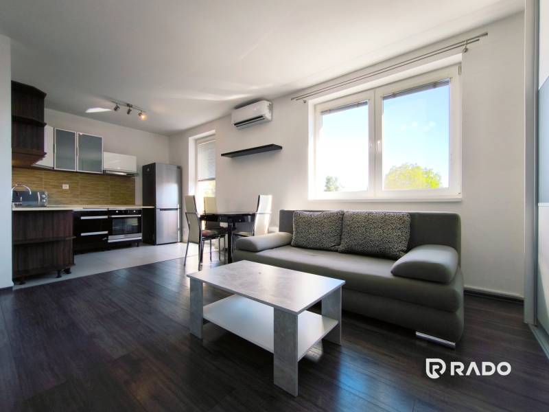Living room with kitchen in a 2-room apartment, with a gray sofa and wooden flooring.