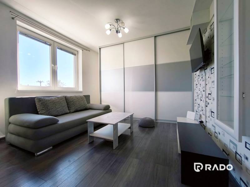 Living room in a two-room apartment with a sofa, table, and television.