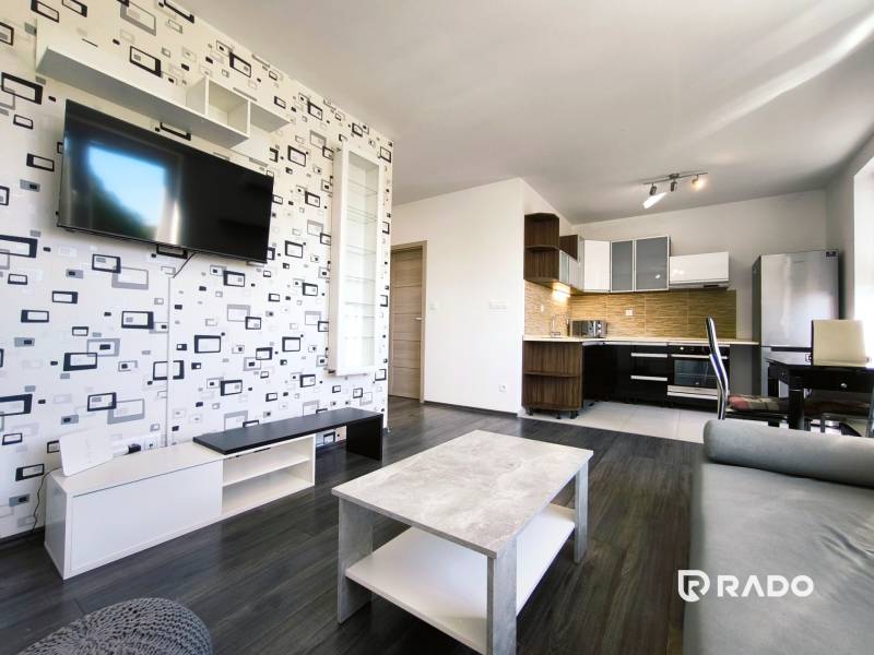 Living room in a two-room apartment with a television, kitchen, and dining table.