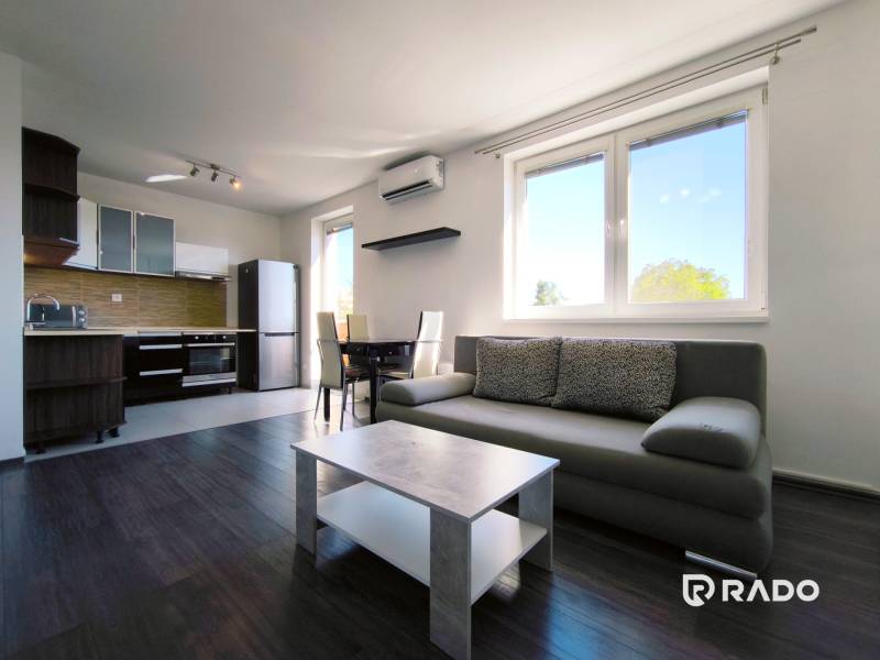 Living room with kitchen in a 2-room apartment, gray sofa, dining table, dark floor.