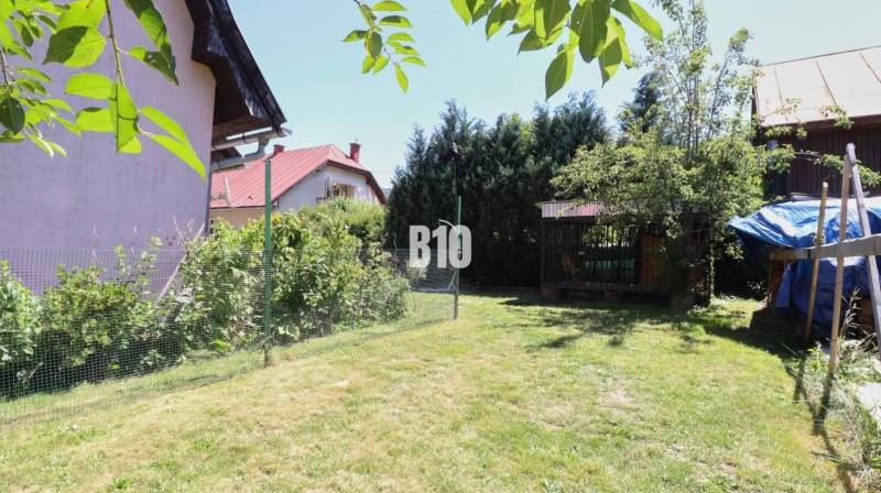 A garden at a family house in Podhradie, with a lawn, shrubs, and trees, the fencing is visible.