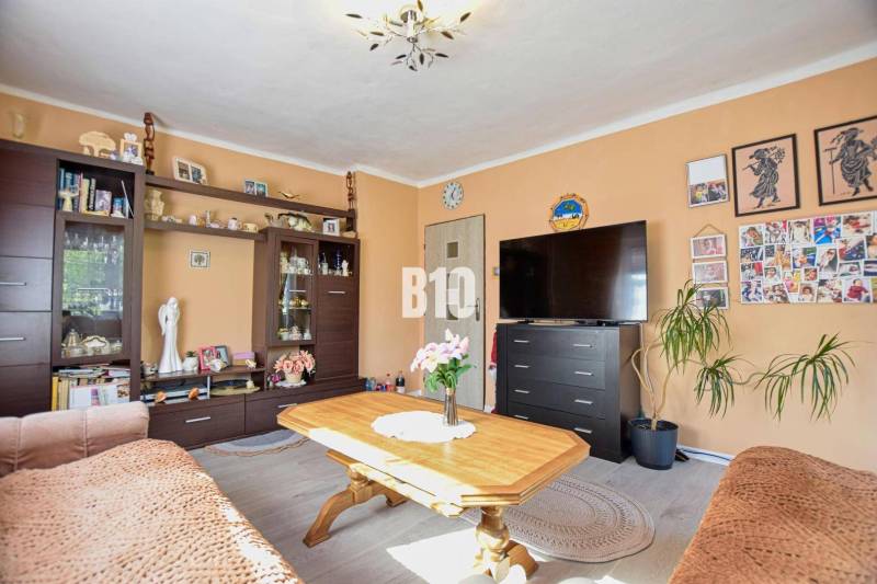 Living room with dark furniture, a television, and decorations in a family house.
