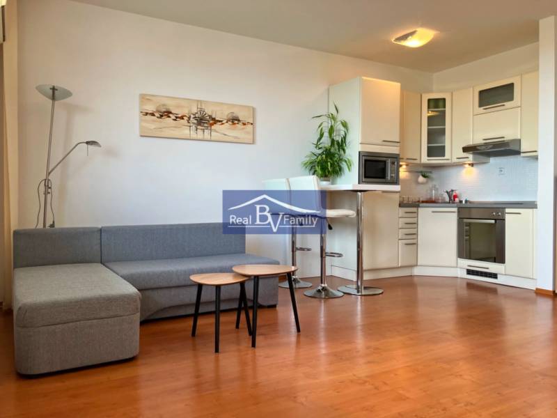 Bright living room with a kitchenette, sofa, and wooden floor in a studio apartment.