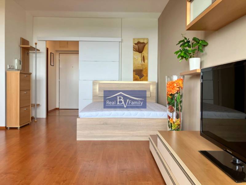 A room with a wooden floor, a bed, and a television, a studio apartment with a bright interior.