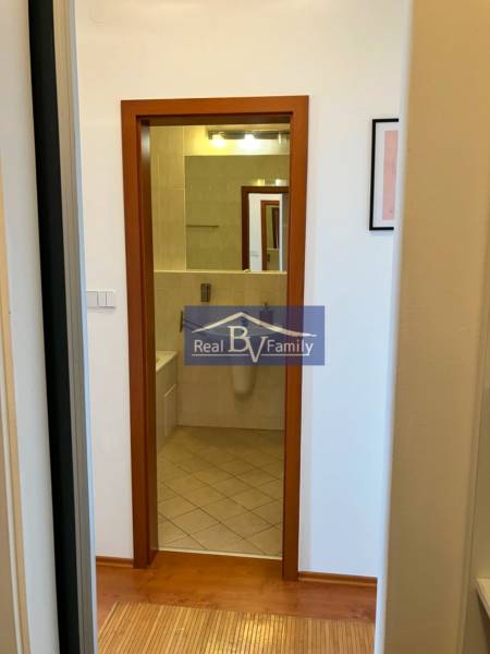 A hallway with a wooden floor leads to the bathroom in a studio apartment.