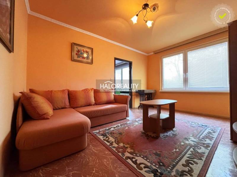 A living room with orange furniture and a carpet in a studio apartment.