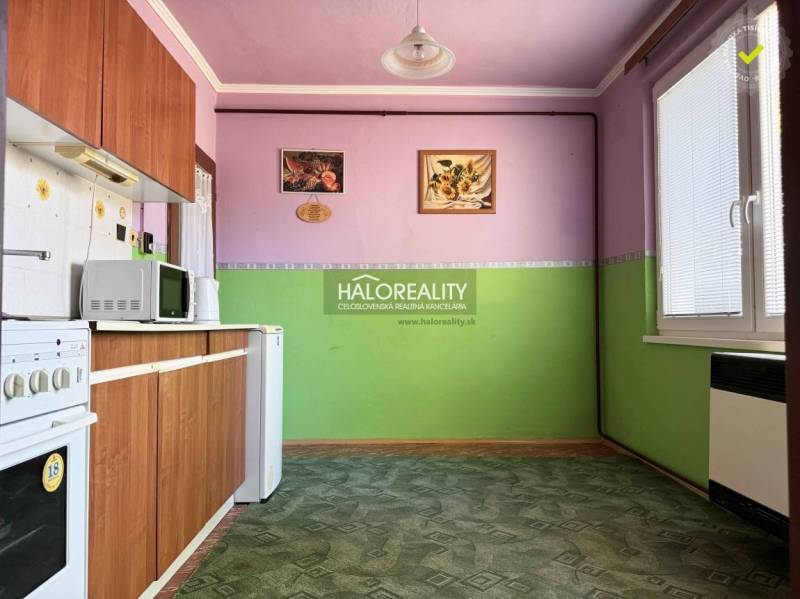 A kitchen in a one-room apartment with a wooden cabinet, a green carpet, and decorations on the walls.