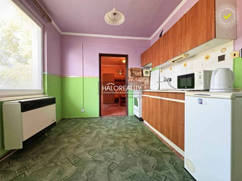 A kitchen in a studio apartment with purple-green walls, a green carpet, and wooden cabinets.