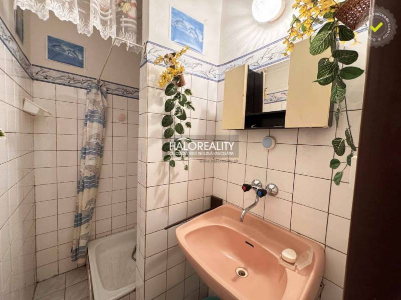 A bathroom in a studio apartment with an old pink sink unit and a shower stall.