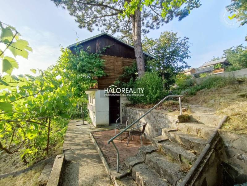 Gardens in Zvolen with stairs, trees, and a wooden house, creating a pleasant atmosphere.