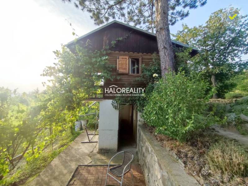 A garden in Zvolen with a wooden cottage and a tree, sunny weather.