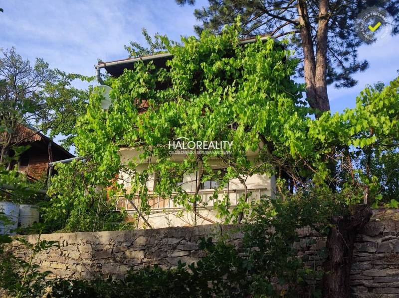 A house covered with greenery with a stone fence in Záhrady in Zvolen.