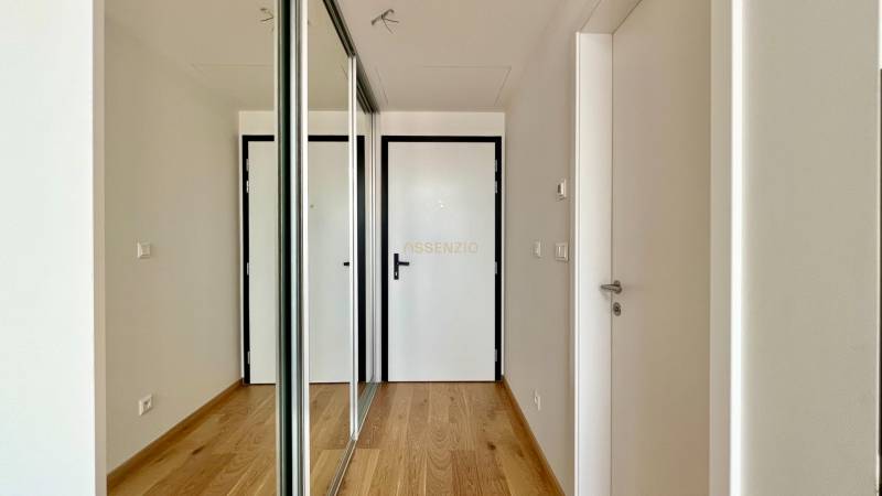 A bright hallway with wooden flooring and a mirrored wardrobe in a 2-room apartment.