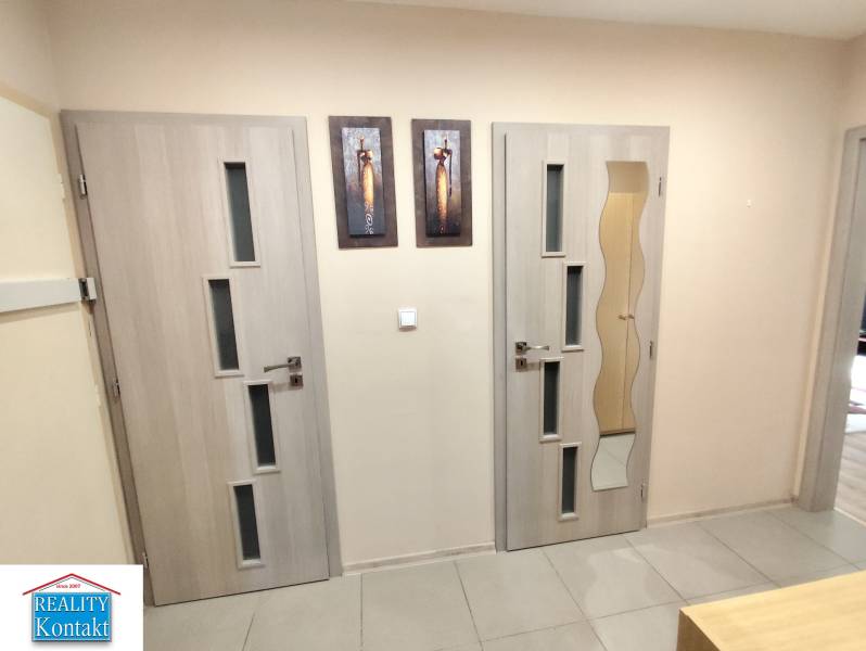 Interior of a 3-room apartment with modern doors and artistic paintings on the wall.