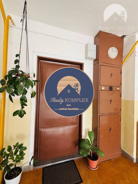 Entrance to a one-room apartment with brown doors, flowers, and an electrical cabinet in the hallway.