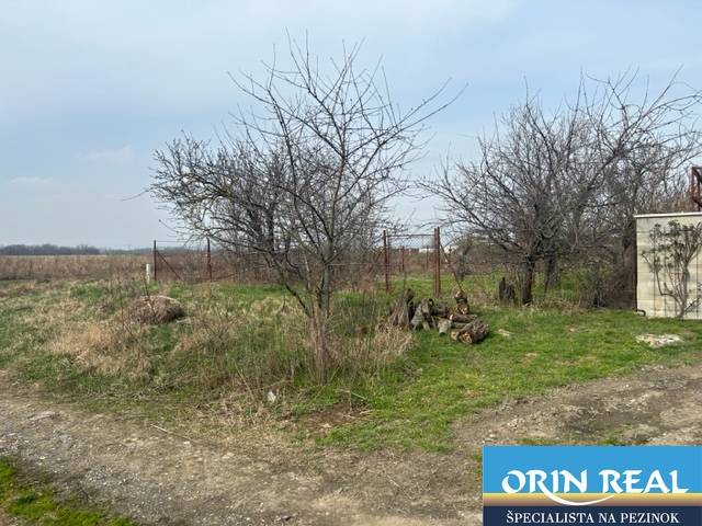 Agricultural and forest land on Domky Street in Zálesie with visible trees and a road.