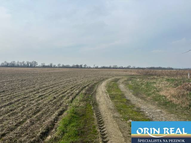 Agricultural and forest land in Zálesie on Domky Street with a dirt road.