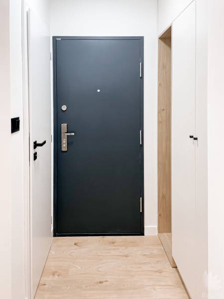 Entrance hallway with black doors and light flooring in a 2-room apartment.