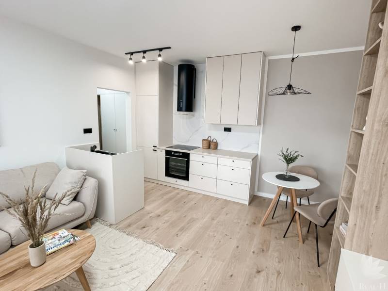 Living room and kitchen in a 2-room apartment with a spacious floor and bright decoration.