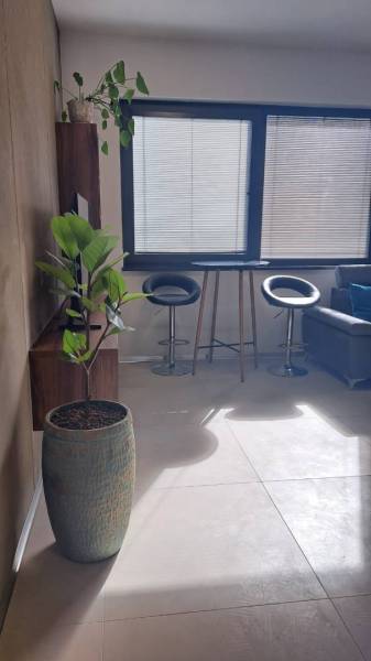 Interior of a 2-room apartment with bar stools, a table, and a flowerpot.