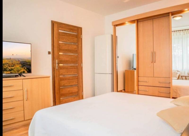 A bedroom with a TV, a wardrobe, and a door in a studio apartment.