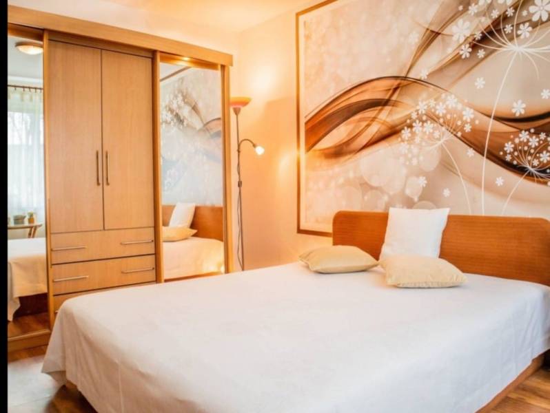 Cozy bedroom with a wooden wardrobe and a decorative wall in a studio apartment.