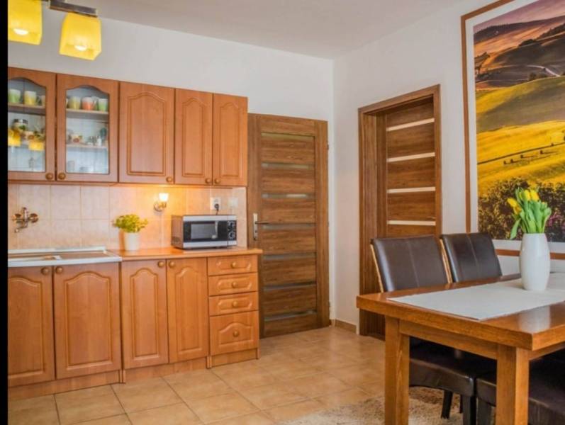 A kitchen in a studio apartment with wooden furniture and a dining table.