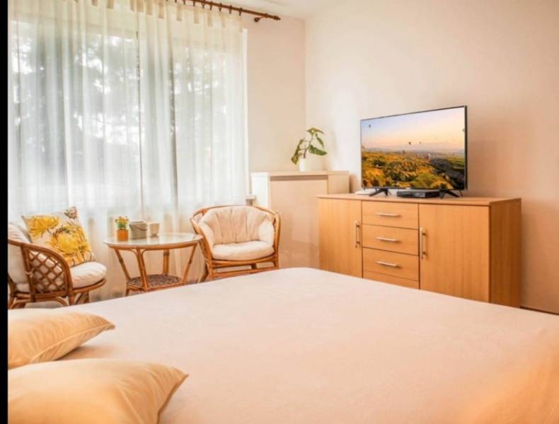 A bright interior in a studio apartment with comfortable armchairs and a television.