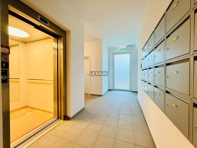 Entrance area with elevator and mailboxes in a 2-room apartment.