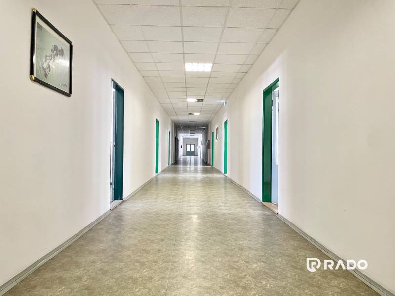 A long corridor with white walls and green office doors.