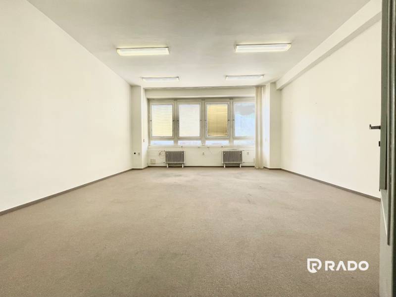 Empty office with carpeted floor and large window, illuminated by ceiling lights.