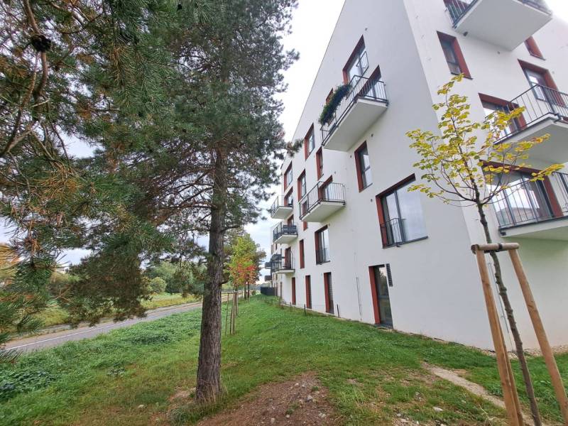 Apartment building on Jilemnického in Svit, next to greenery and trees.