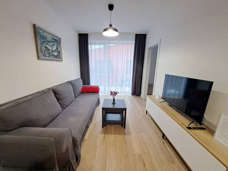 Living room with a sofa, table, and television in a two-room apartment.