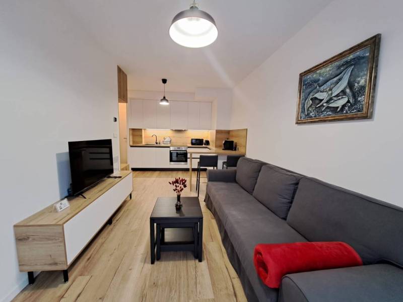 Living room of a 2-room apartment with a kitchenette, sofa, and television.