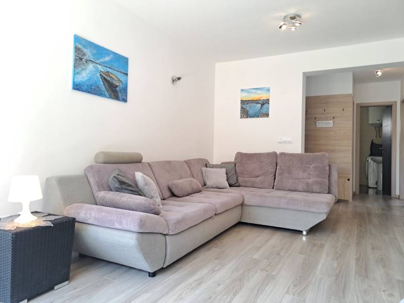 A 3-room apartment space with a comfortable gray sofa and light wooden floor decor.