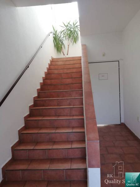 The interior of a building with brown stairs and a plant by the wall.