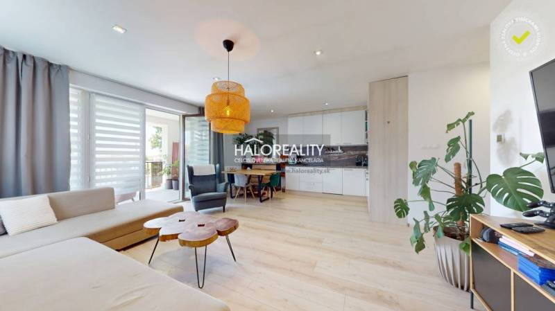 Living room in a three-room apartment with a large window, dining table, and plants.