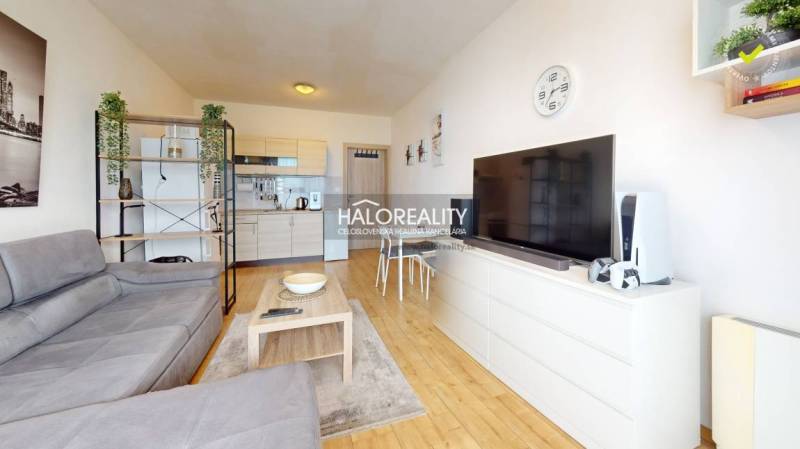 Living room in a studio apartment with a sofa, TV, table, and kitchen in the background.