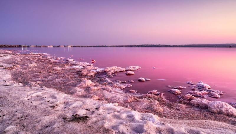 Pink lagoon with salt deposits in the surroundings in Torrevieja, Campoamor 12.