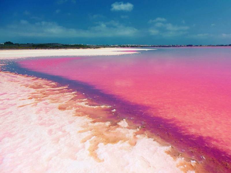 Pink lagoon and white salt beach near Torrevieja in a photograph from Campoamor 12.