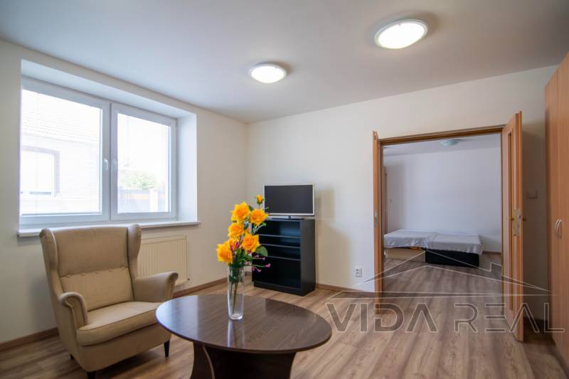 Living room in a two-room apartment with an armchair, a table, and flowers in a vase.