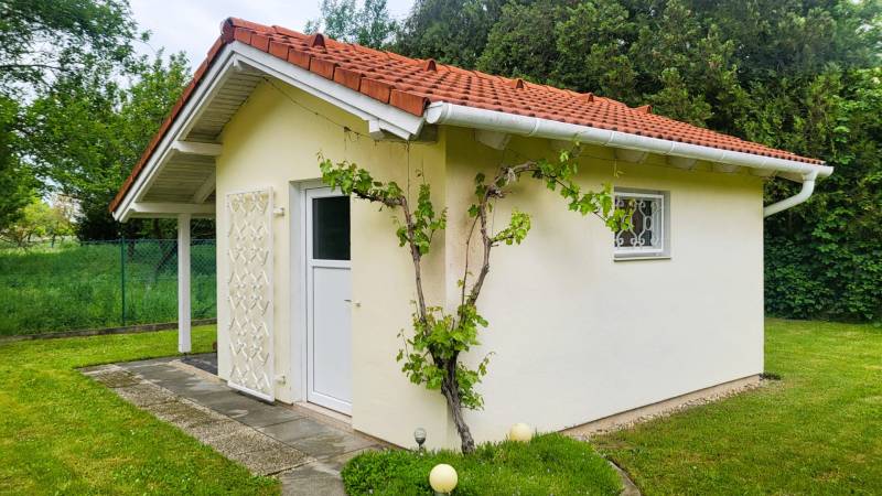 A family house in Dunaszeg with a red roof, grapevines, and a lawn in the garden.