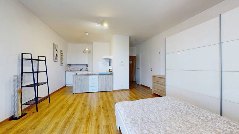 Spacious 1-room apartment with a kitchenette, bed, and wooden floor.